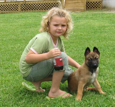 Mason's Malinois Kennels